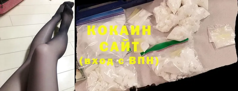 COCAIN Fish Scale  продажа наркотиков  Шуя 